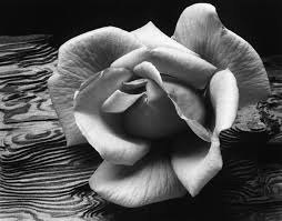 ansel adams photography