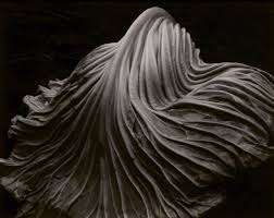 edward weston photography