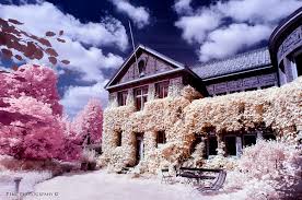 infrared photography