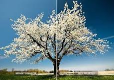 digital photography techniques