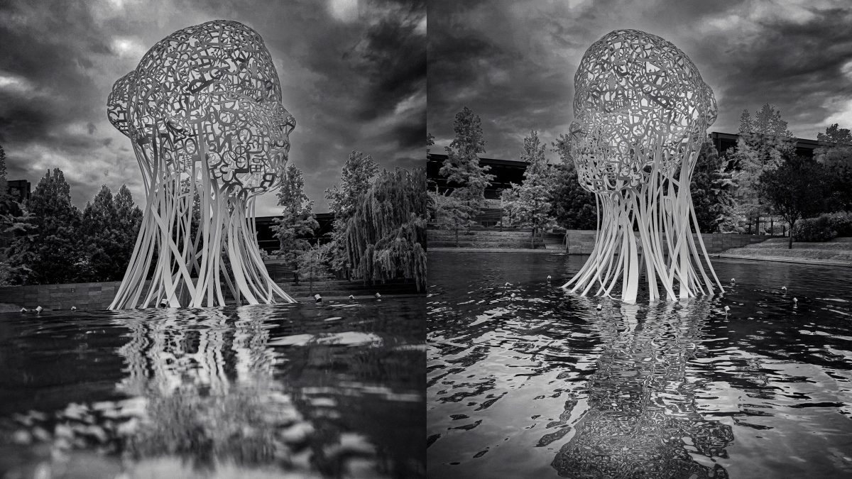 black and white photography