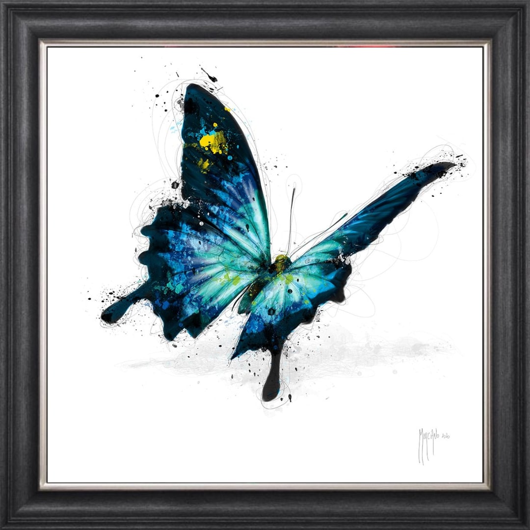 framed butterfly artwork